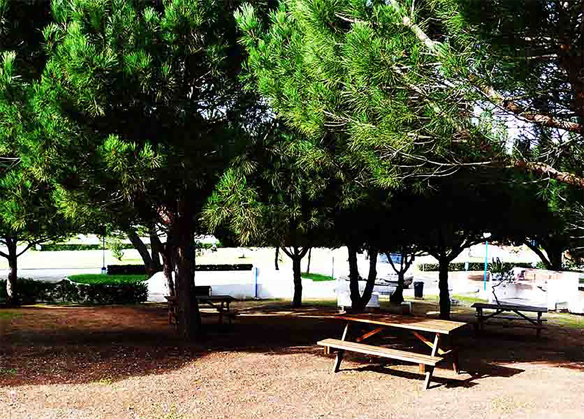 Orbitur Sagres Bungalows - Caravan Park Exterior photo